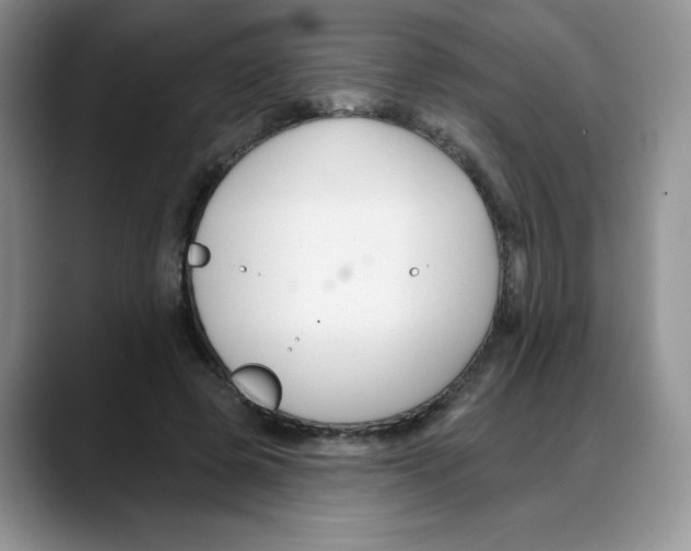 X0000088040545200706081611