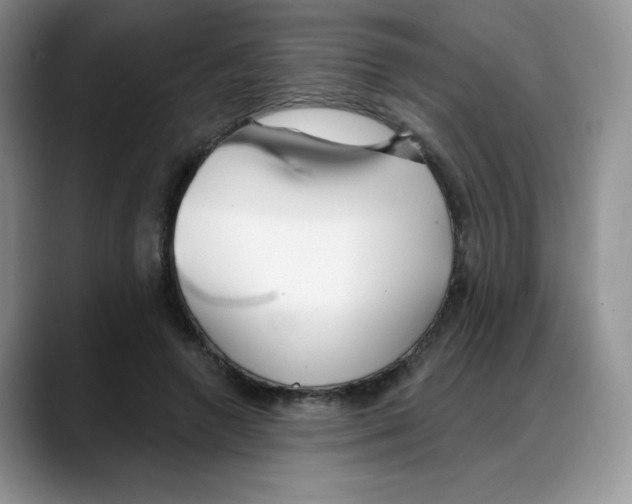 X0000088040546200706081611