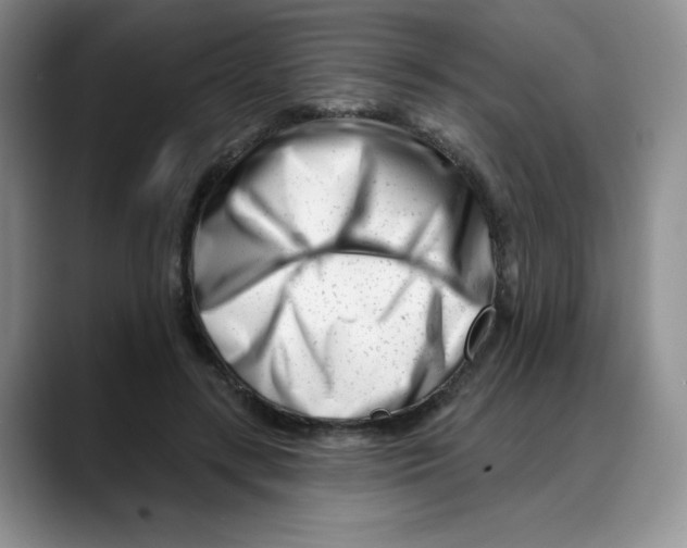 X0000088040547200706081611