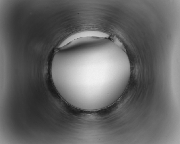 X0000088040548200706081611