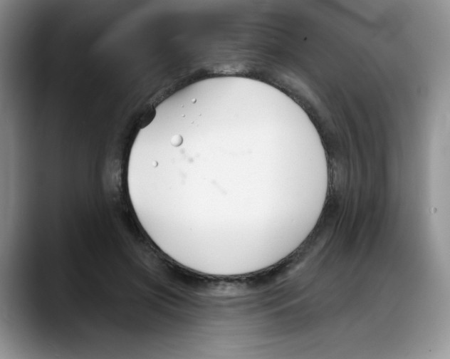 X0000088040549200706081611