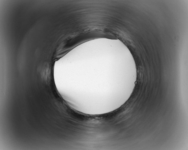 X0000088040550200706081611