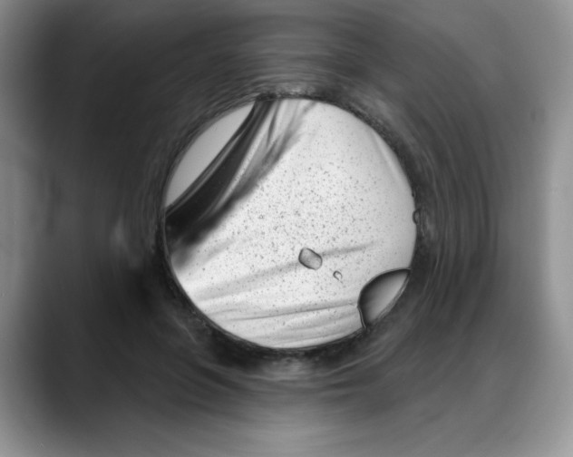 X0000088040551200706081611