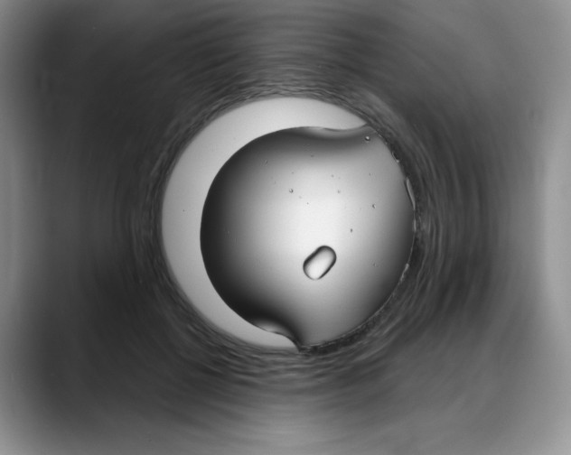 X0000088040552200706081611