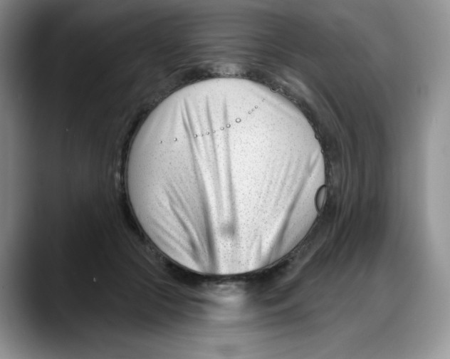 X0000088040553200706081611