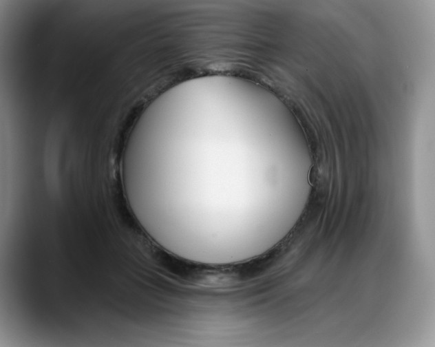 X0000088040555200706081611