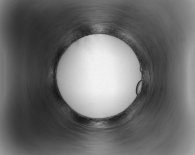 X0000088040557200706081611