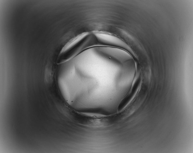 X0000088040558200706081611