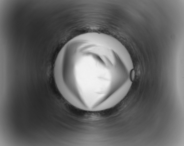 X0000088040559200706081611