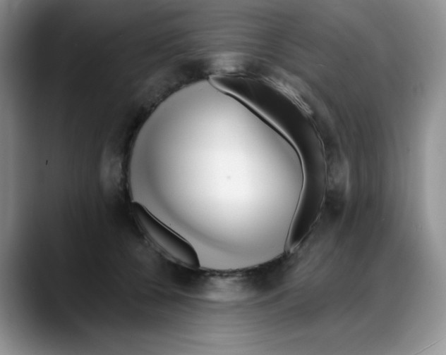 X0000088040560200706081611