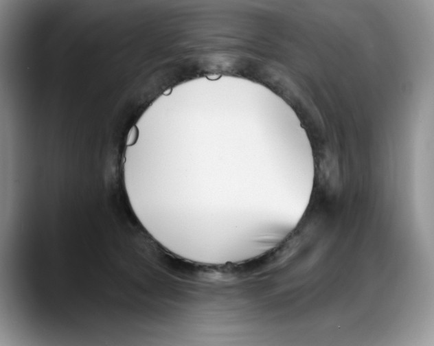 X0000088040561200706081611