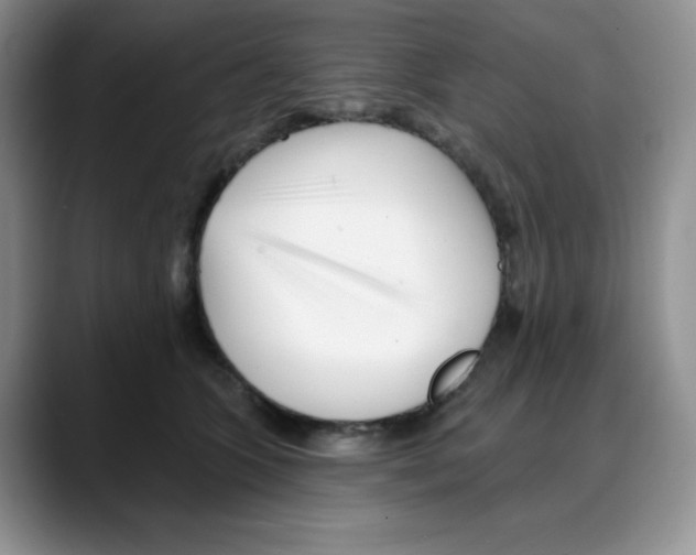 X0000088040563200706081611