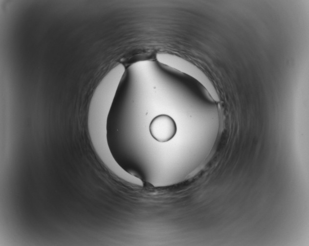 X0000088040564200706081611