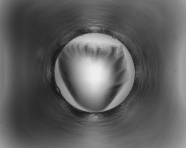 X0000088040566200706081611