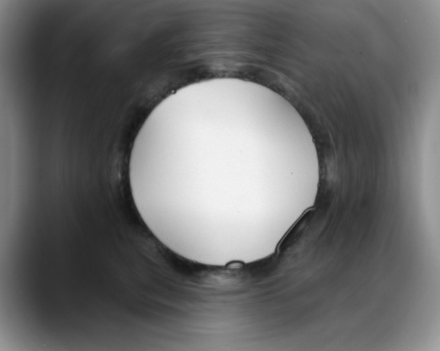 X0000088040567200706081611