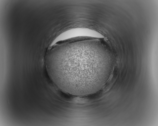 X0000088040568200706081611