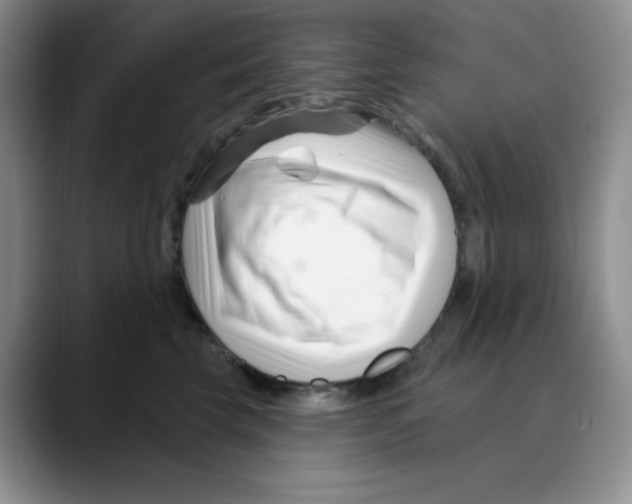 X0000088040569200706081611