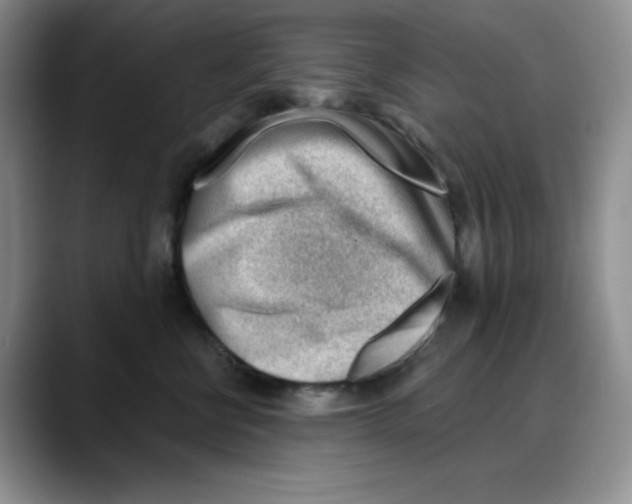 X0000088040570200706081612