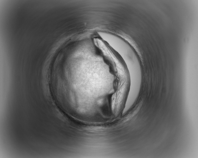 X0000088040577200706081611