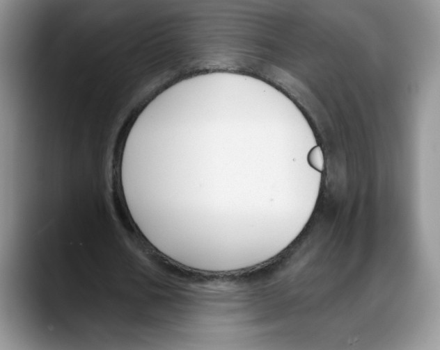 X0000088040578200706081611