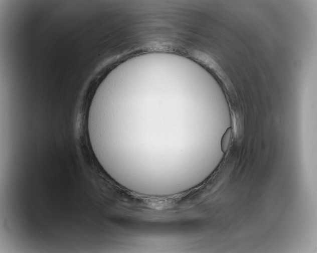 X0000088040579200706081611