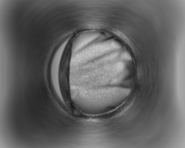 X0000088040581200706081611