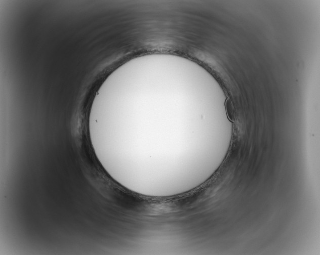 X0000088040583200706081611