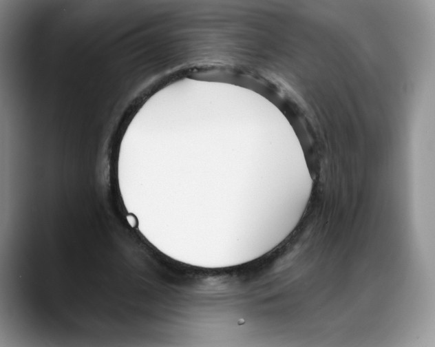 X0000088040584200706081611