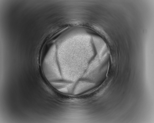 X0000088040585200706081611