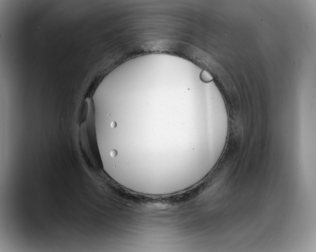 X0000088040586200706081611