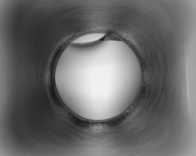 X0000088040587200706081611