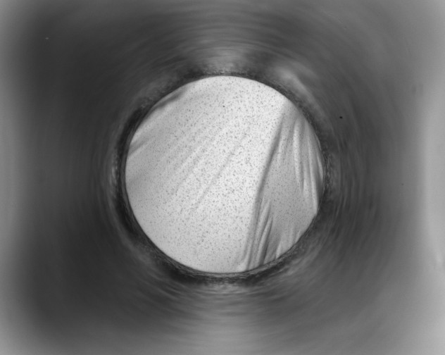 X0000088040590200706081611