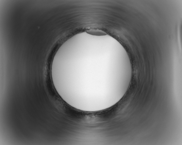 X0000088040591200706081611