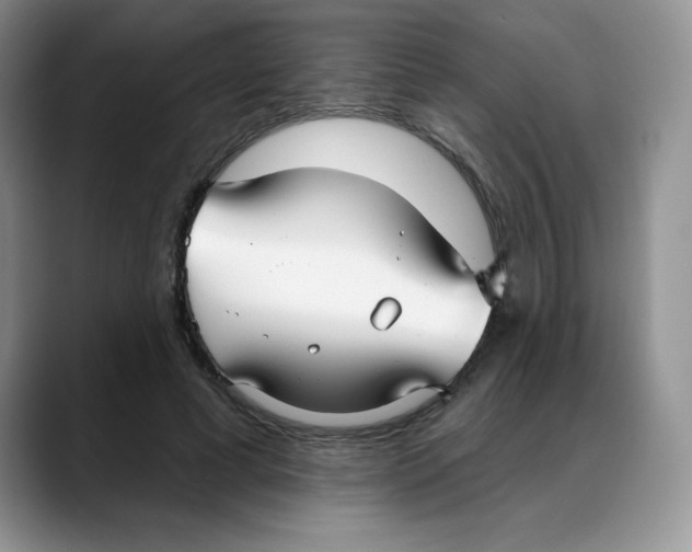 X0000088040593200706081611