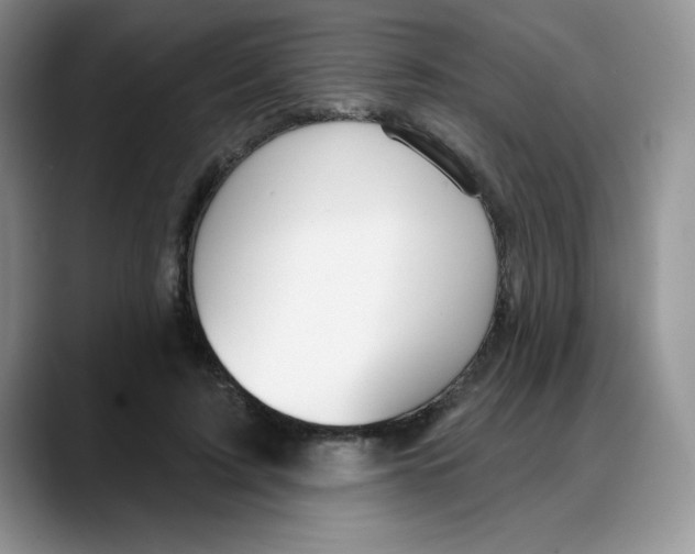 X0000088040595200706081611