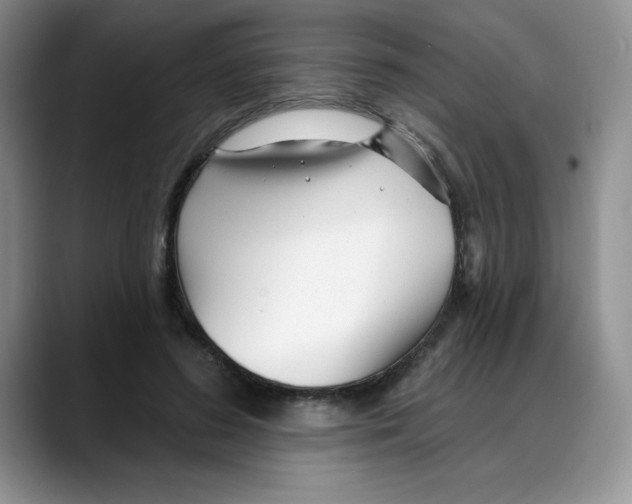 X0000088040596200706081611