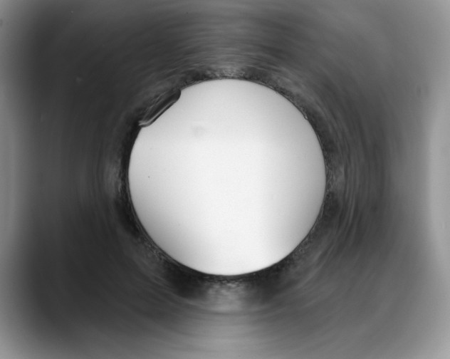 X0000088040599200706081611