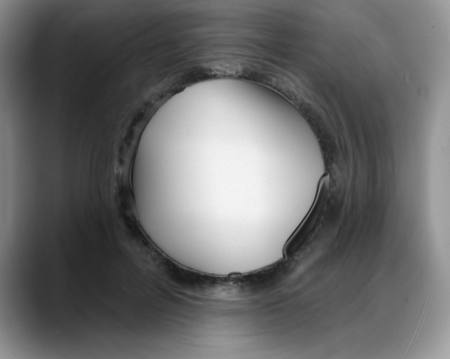 X0000088040600200706081611