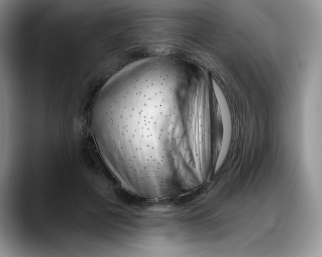 X0000088040601200706081611