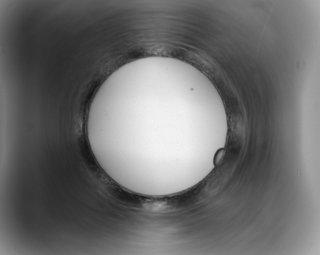 X0000088040602200706081611