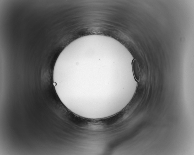 X0000088040603200706081611