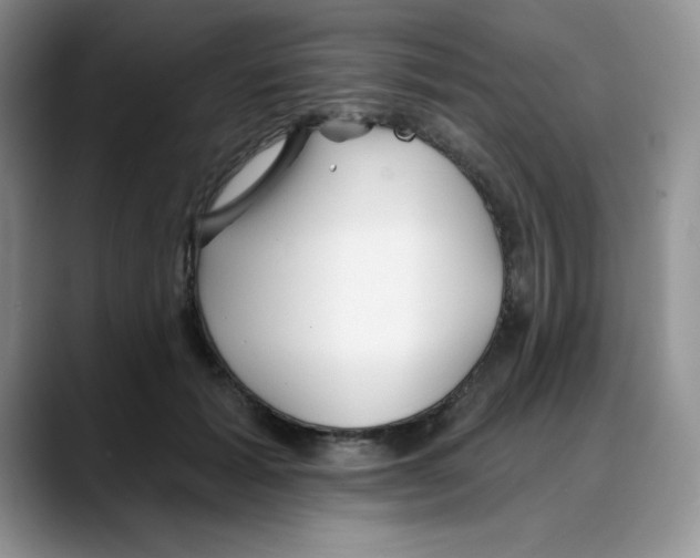 X0000088040605200706081611