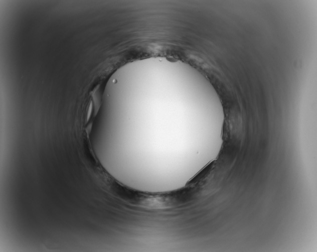 X0000088040611200706081611