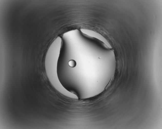 X0000088040613200706081610