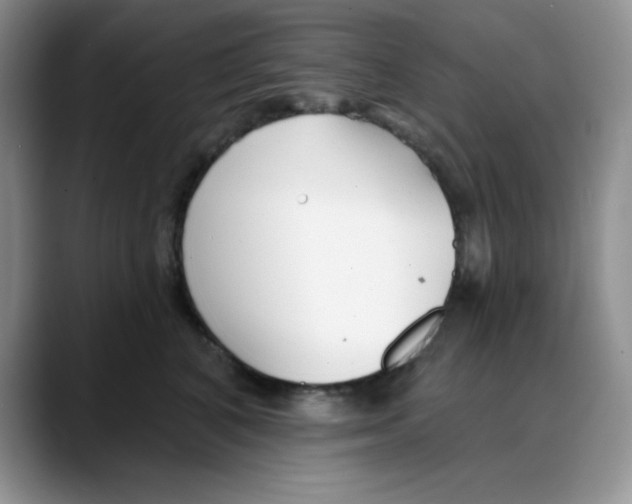 X0000088040616200706081610