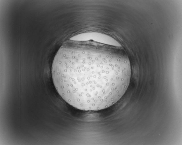 X0000088040617200706081610