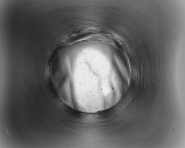 X0000088040621200706081610