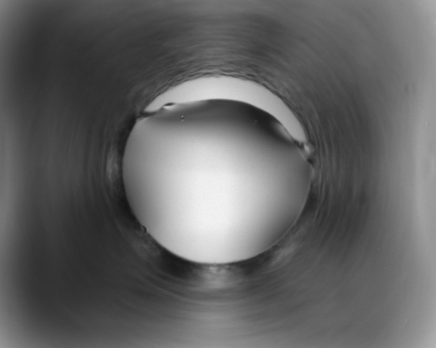 X0000088040623200706081610