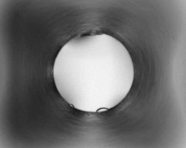 X0000088040624200706081610