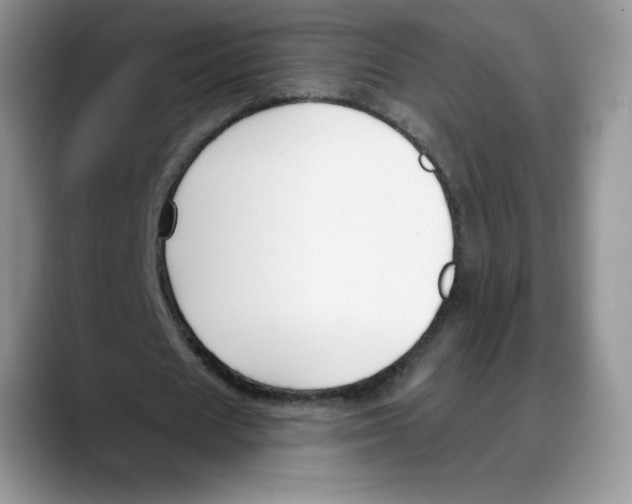 X0000088040625200706081610